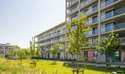 Maison Waterzicht (Vilvoorde) avec 3 chambres, terrasse et petit jardin, photo de l'arrière du bâtiment