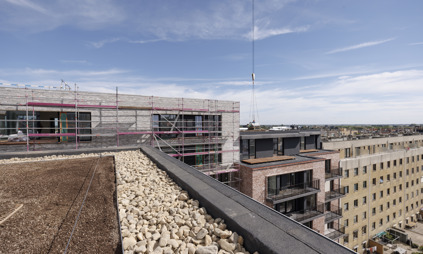 werf appartement exterieur groendak